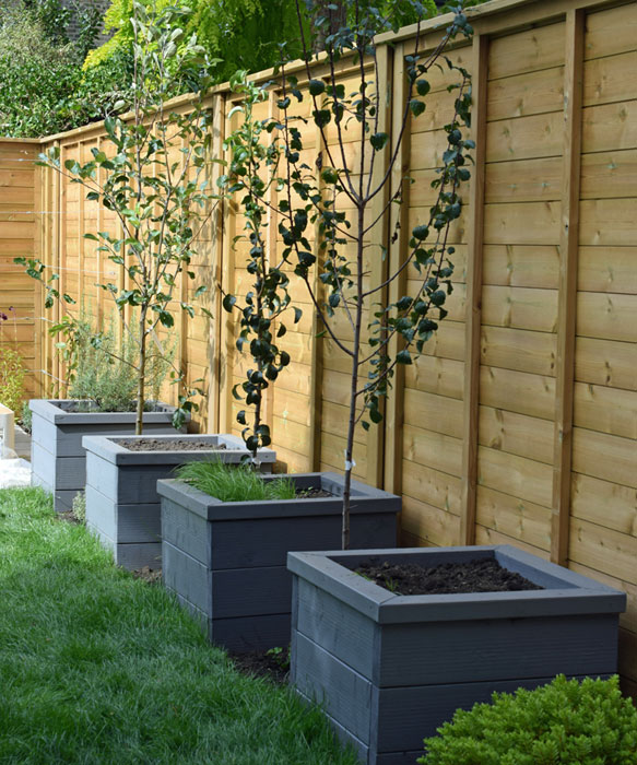 Timber raised beds for crops and fruit trees